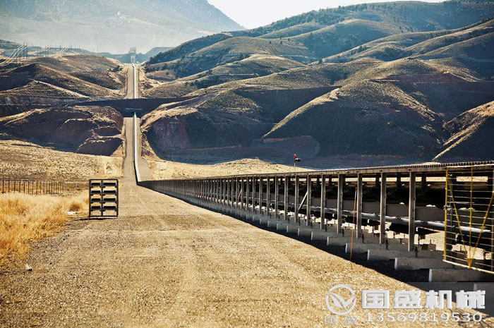 Ƥ���C���b����