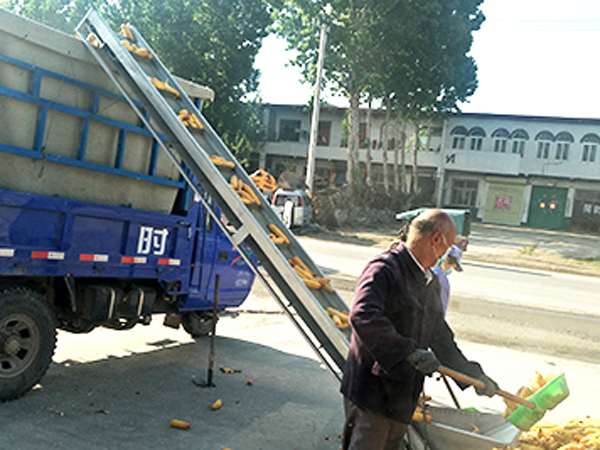 �����bжƤ���C